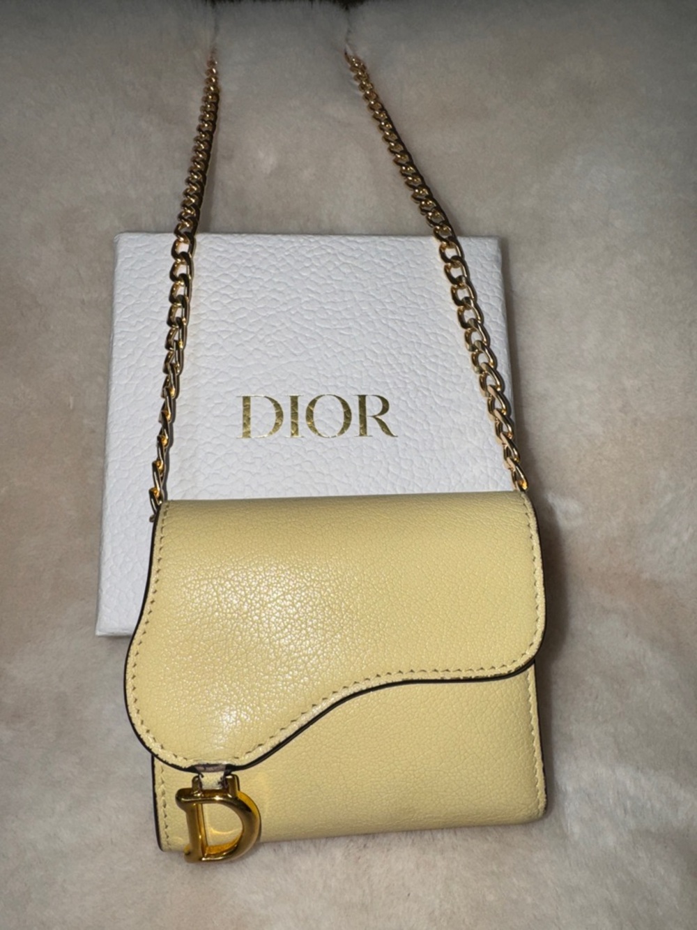 Christian Dior Mini Saddle Lotus Wallet